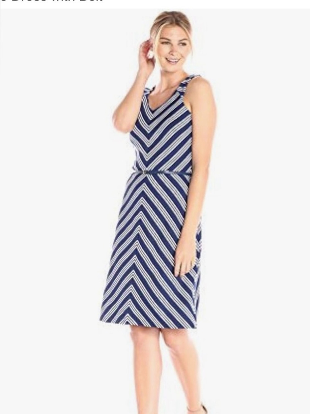 Lark and Ro sleeveless a line dress size large